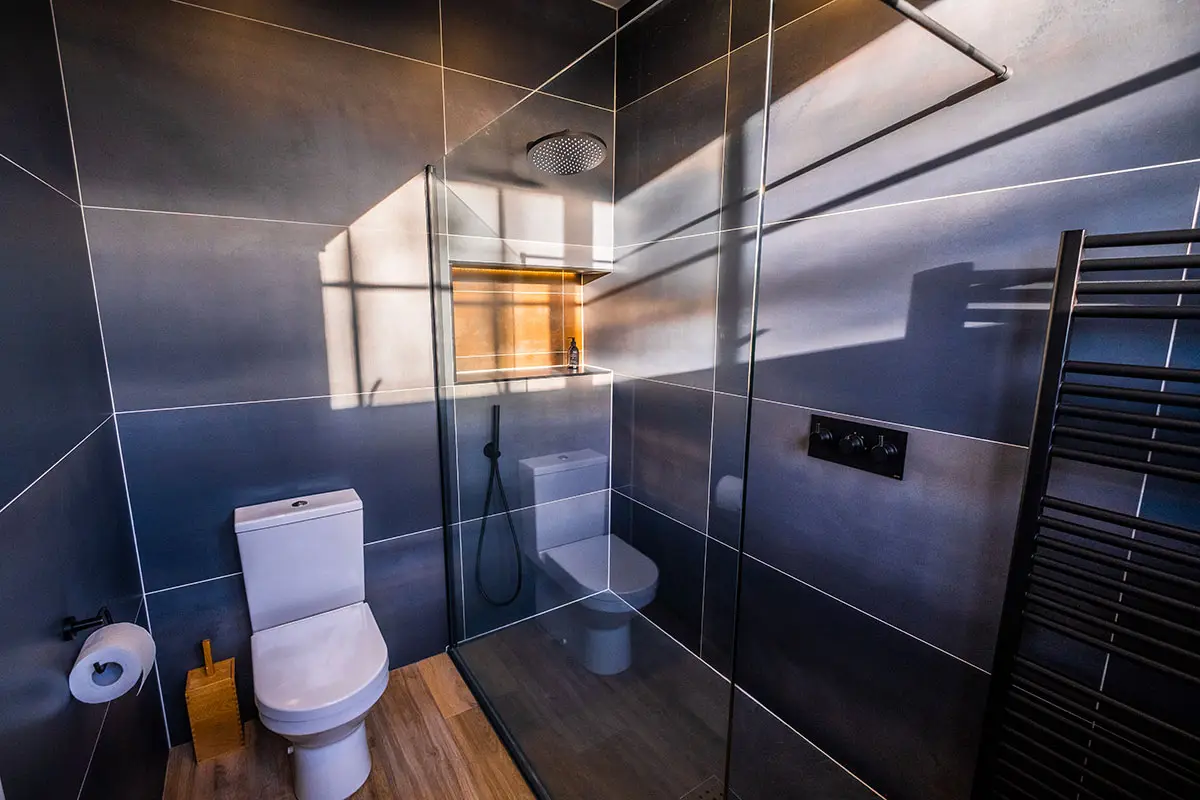 Beautiful and striking shower room